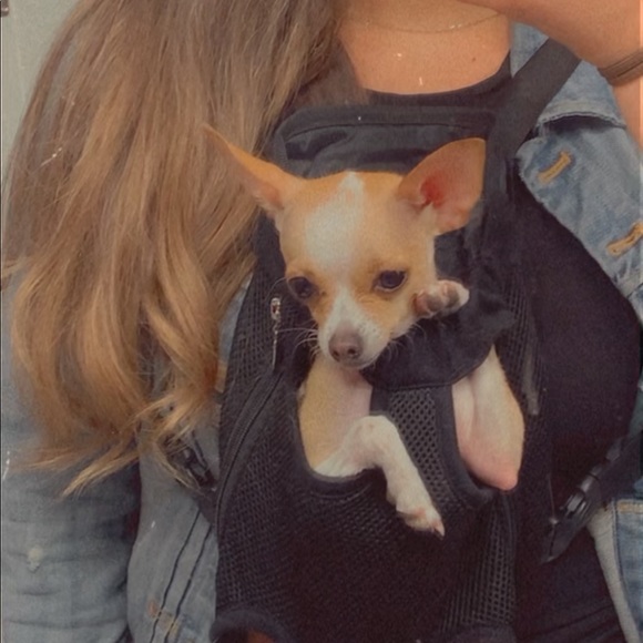 Meet your Posher, Zoë - Picture 2 of 8